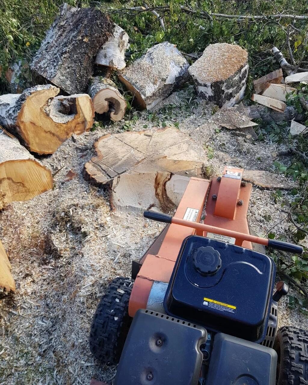 Sektionsfällning av träd i Norrtälje