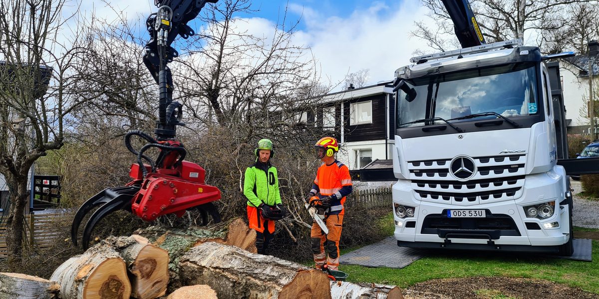 Kranbil lastar uppkapade stammar medan två arborister i varselkläder ser på